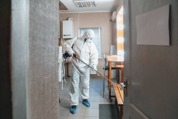 Best Real Estate Mold Inspection  in Limesa, CA