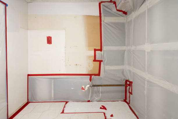 Best Mold Documentation for Insurance Claims  in Limesa, CA