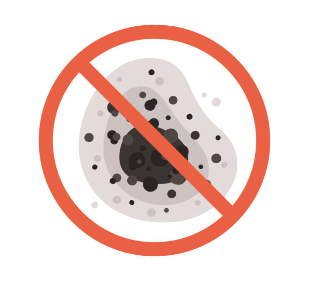 Best Mold Removal for HVAC Installations  in Limesa, CA