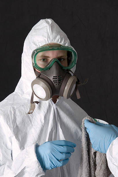 Best Emergency Mold Remediation  in Limesa, CA